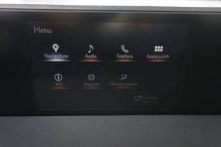 LEXUS UX 250h usata, con Immobilizzatore elettronico