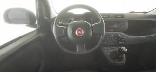 FIAT Panda usata 39