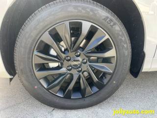 FORTHING T5 Evo usata, con Controllo trazione
