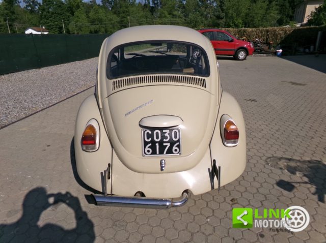 VOLKSWAGEN Maggiolino usata 3