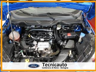 FORD EcoSport usata, con Frenata d