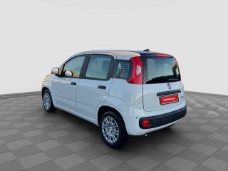 FIAT Panda usata 2