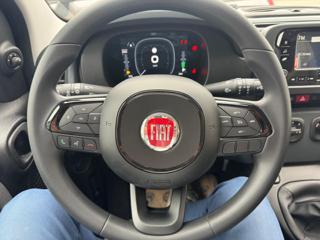 FIAT Panda usata, con Controllo trazione