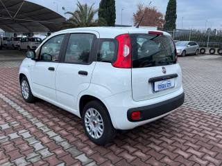 FIAT New Panda usata, con Autoradio