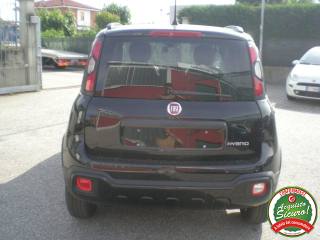 FIAT Panda Cross usata, con Controllo trazione