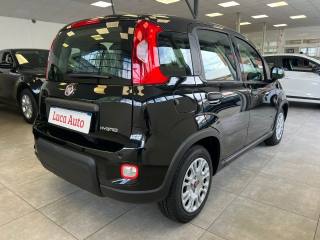 FIAT Panda usata, con Alzacristalli elettrici