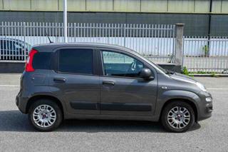 FIAT Panda usata, con Isofix