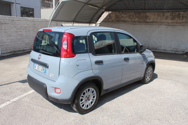 FIAT Panda usata 15