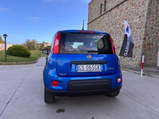 FIAT Panda usata 55
