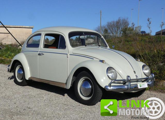 VOLKSWAGEN Maggiolino usata 2