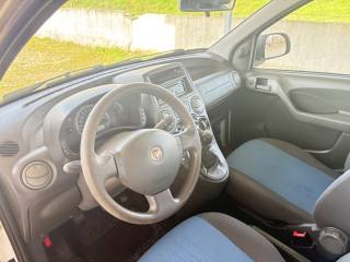 FIAT Panda usata, con Fendinebbia