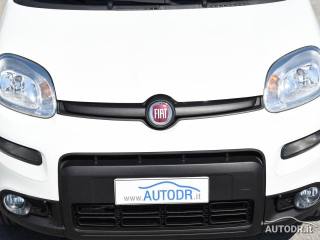 FIAT Panda usata 43