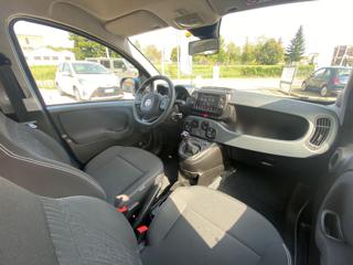 FIAT Panda Cross usata 29