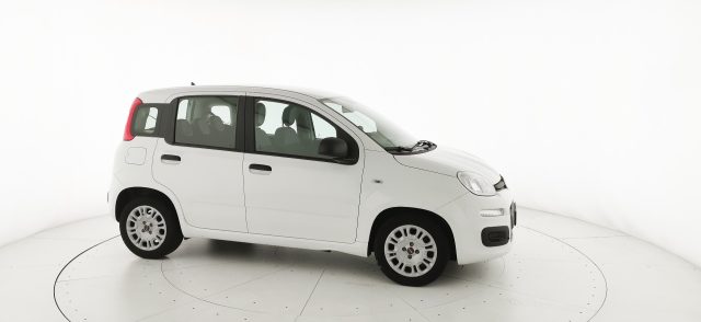 FIAT Panda usata 20