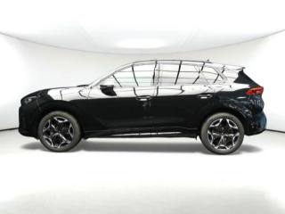 CUPRA Terramar usata, con Vetri oscurati