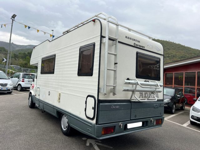 FIAT Ducato usata 2