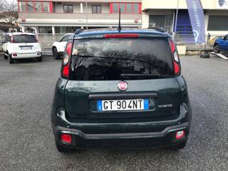 FIAT Panda Cross usata, con Alzacristalli elettrici