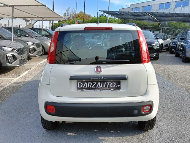 FIAT Panda usata 19