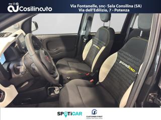 FIAT Pandina usata, con Controllo trazione