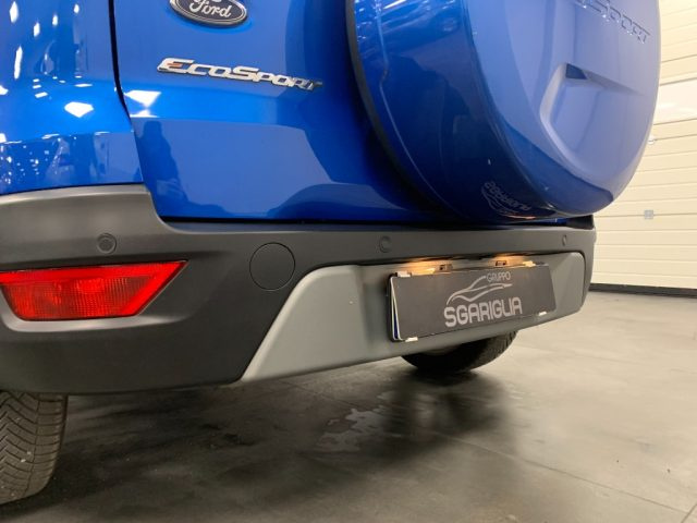 FORD EcoSport usata, con Controllo vocale