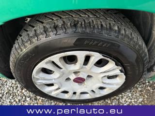 FIAT Panda usata 14
