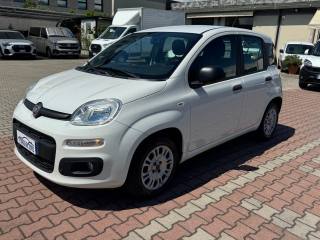 FIAT New Panda 1.3 MJT S.&S. EASY VAN 4 POSTI AZIENDALE KM 49.203