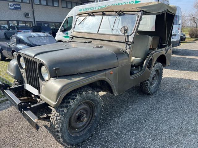 JEEP Willys usata 3
