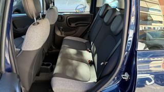 FIAT Panda usata, con Fendinebbia