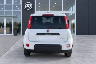 FIAT Panda usata, con Alzacristalli elettrici