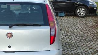 FIAT Punto usata 29