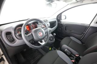 FIAT Panda usata 1