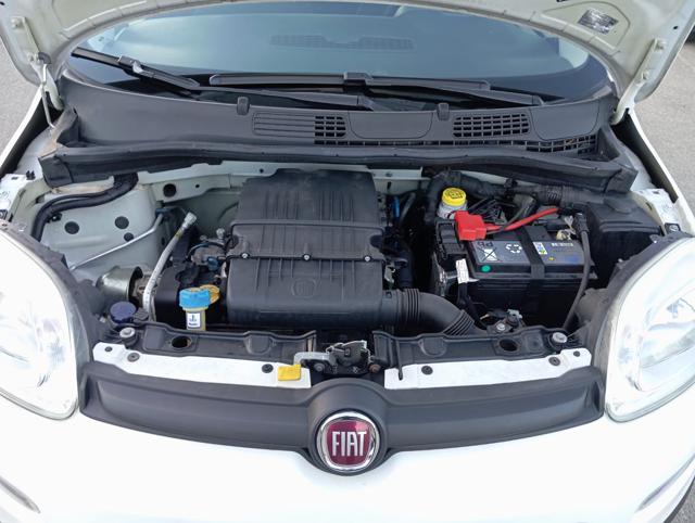 FIAT Panda usata 20