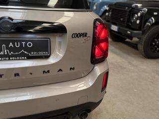 MINI Countryman usata, con Controllo elettronico della corsia