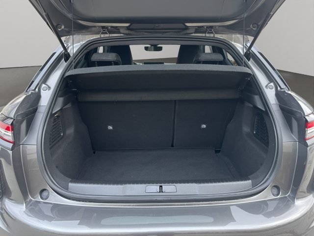 DS AUTOMOBILES DS 3 Crossback usata, con Specchietti laterali elettrici