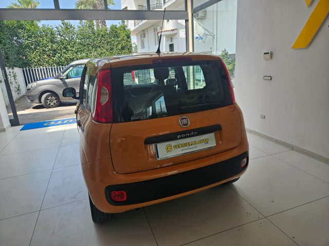 FIAT Panda usata, con Immobilizzatore elettronico