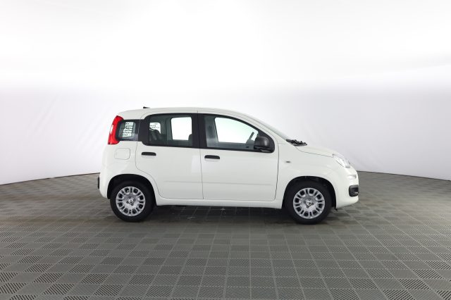 FIAT Panda usata 2
