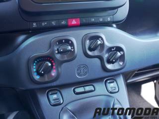 FIAT Panda usata 16