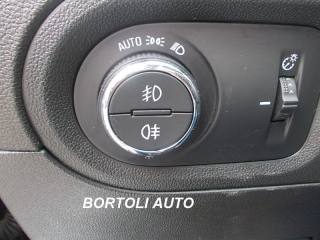 OPEL Grandland X usata, con Luci diurne LED