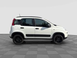 FIAT Panda usata 5