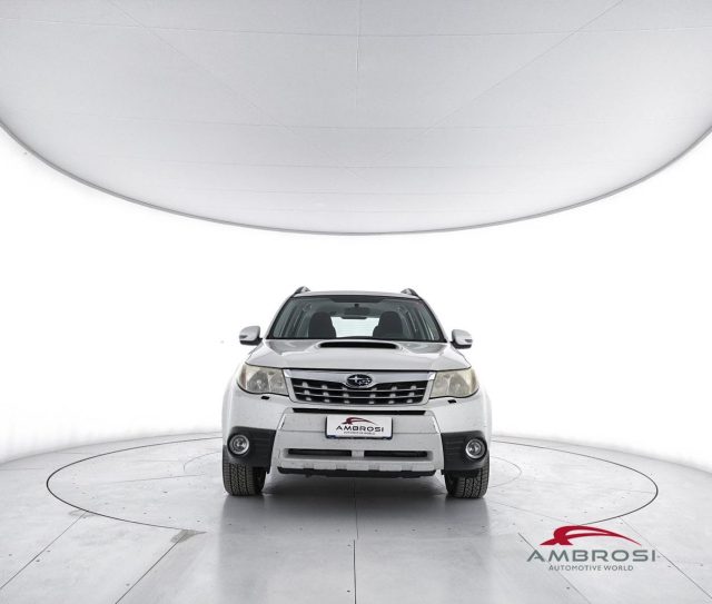 SUBARU Forester usata 4