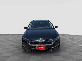 SKODA Octavia usata 7