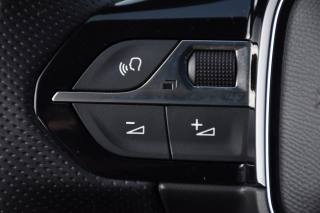 PEUGEOT 3008 usata, con Portellone posteriore elettrico