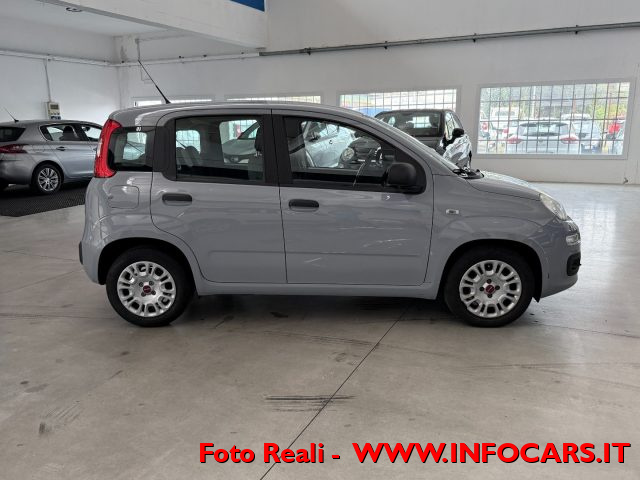 FIAT Panda usata 15