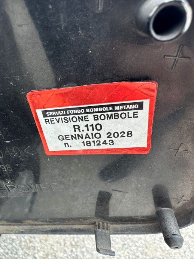 FIAT Punto usata 12