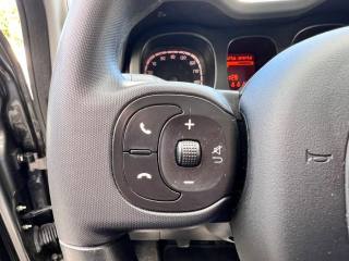 FIAT Panda usata 15
