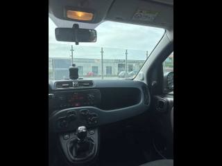 FIAT Panda usata 20