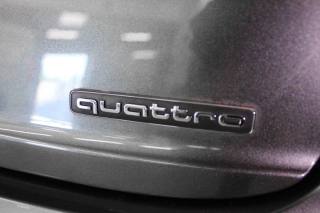 AUDI Q8 usata, con Cruise Control