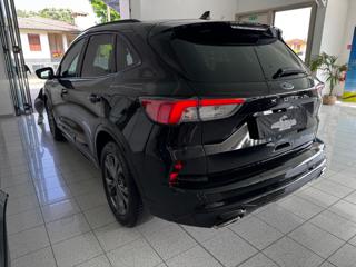 FORD Kuga usata, con Alzacristalli elettrici