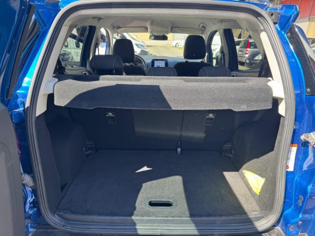 FORD EcoSport usata, con Controllo vocale