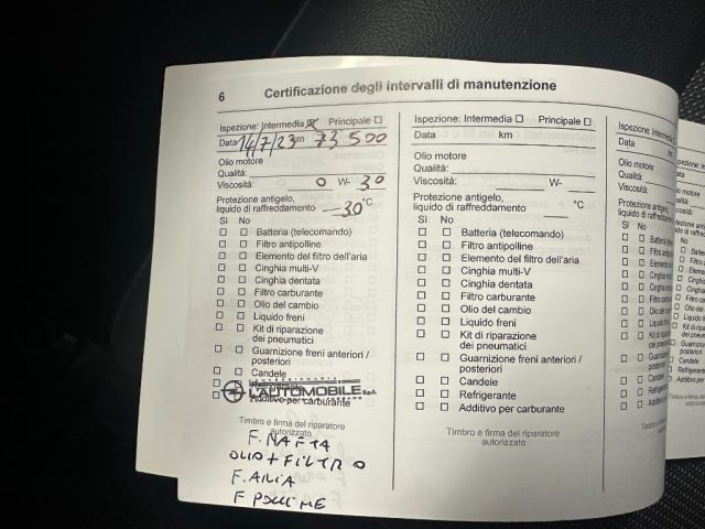 OPEL Vivaro usata, con Bracciolo